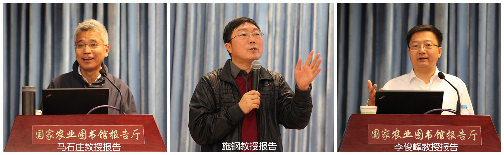 专题报告拼接.jpg