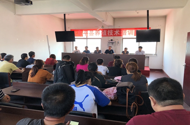 QQ图片20180621134733_副本.jpg