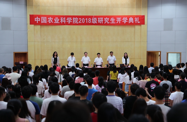 保定开学典礼.jpg