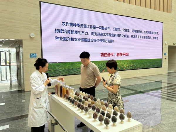 参观1.jpg